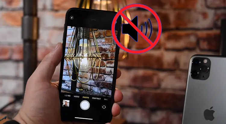 Nên Làm Gì Khi iPhone Không Bật Được Đèn Flash Và Camera